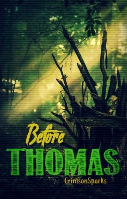 Before Thomas {A Maze Runner Fanfiction}