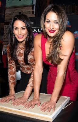 Bella triplets (Brie Bella Nikki Bella And Daniella Bella Are three Triplets)