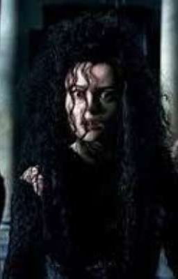 Bellatrix's Heir