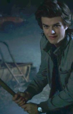 Best Friend- Steve Harrington x reader