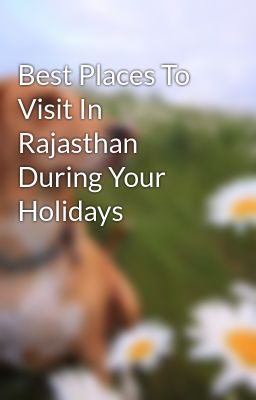 Best Places To Visit In Rajasthan During Your Holidays