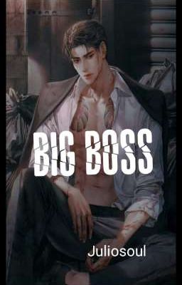 BIG BOSS (Completed)