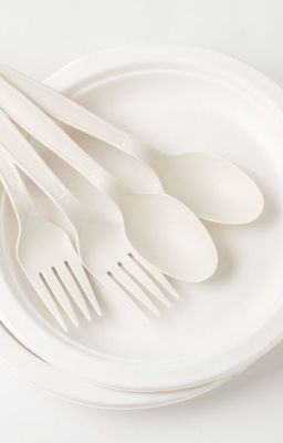 Biodegradable Tableware vs. Traditional Disposable Options: A Comparative