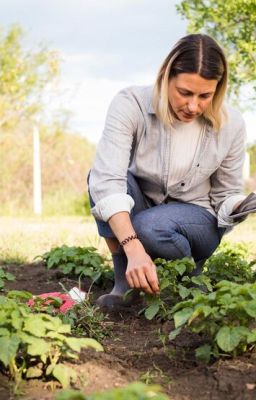 Bioestimulantes: innovación agrícola sostenible