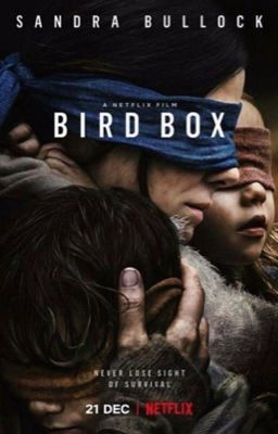 Bird Box (Oc x reader)