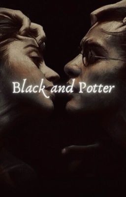 Black and Potter | H. Potter