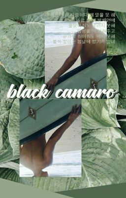 Read Stories black camaro #hyungwonho - TeenFic.Net