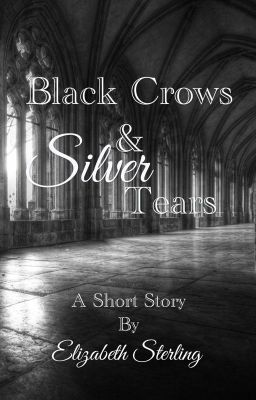 Read Stories Black Crows & Silver Tears - TeenFic.Net