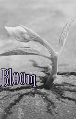 Bloom 