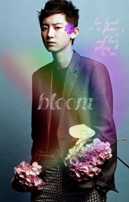 Bloom • pcy × bbh