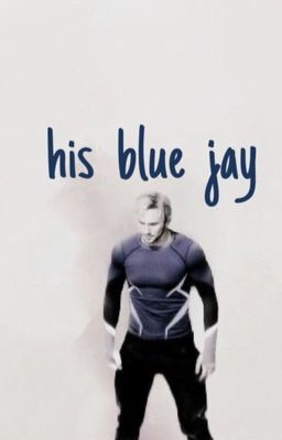 blue jay-p.m.