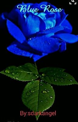 Blue Rose