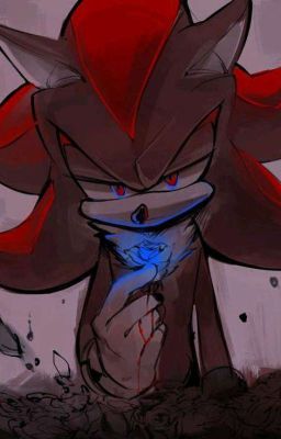 Blue Rose (Sonadow)