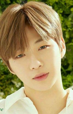 Boss | Kang Daniel