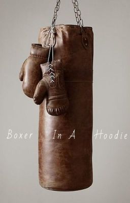 Boxer In A Hoodie (Edited)