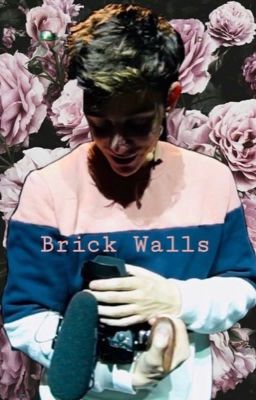 •Brick Walls•