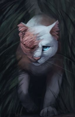 Brightheart's Life 