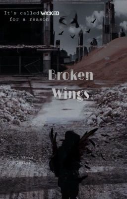 Broken Wings ➳Gally{2}