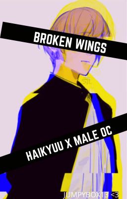 Broken Wings- Haikyuu! X Male OC