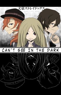 [BSDOC] Can't See In The Dark (SK)