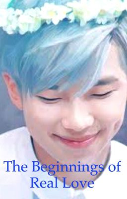 BTS ff- Namjoon- The Beginnings of Real love