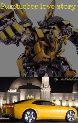 (Bumblebee x Reader) love story✔️✔️✔️