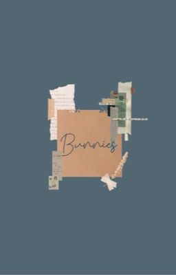 BUNNIES | SAPNAP