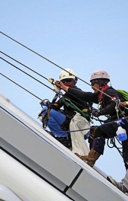 Buy At Height's Fall Arrest Safety Harnesses