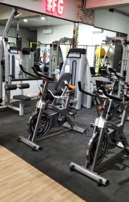 Buy Cardio Strength Gym Equipment