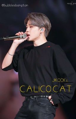 Calico cat ☆P.JM-J.JK☆ [COMPLETED]