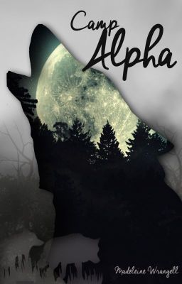 Read Stories Camp Alpha (BoyxBoy) - TeenFic.Net