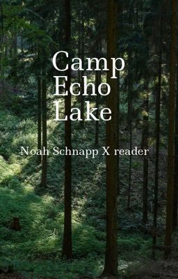 Camp Echo Lake/ Noah Schnapp x reader
