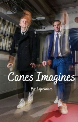 Canes Imagines