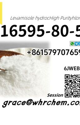 CAS 16595-80-5 Levamisole hydrochloride 100% Safe Delivery/High Purity