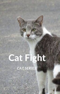 Cat Fight- Cat Series