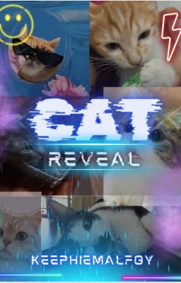 Cat Reveal! ^^