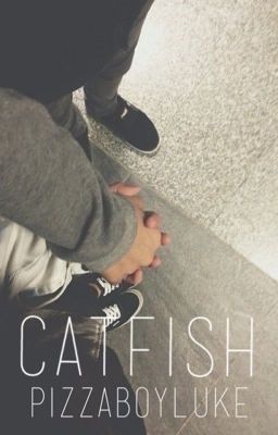 Catfish // Luke Hemmings au // Completed