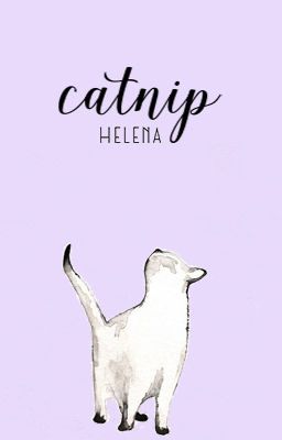 Catnip [romance]