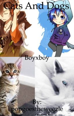 Cats and dogs (boyxboy)