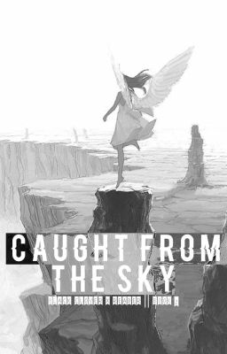 ||Caught From The Sky|| BC x Reader || BOOK 2 ||