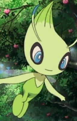 Celebi knows best