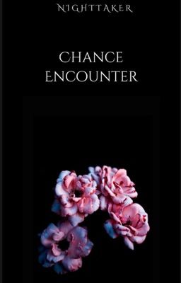 Read Stories Chance Encounter [BxB] - TeenFic.Net