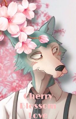 Cherry blossom love{Legoshi x human! Reader}