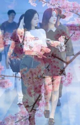 Cherry Blossoms ; Jensoo