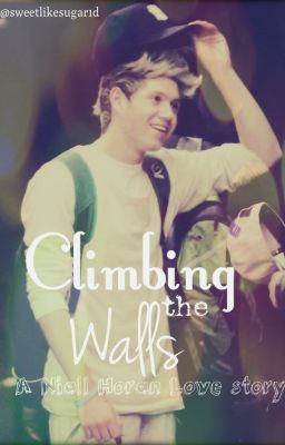 Climbing the Walls (a Niall Horan love story)