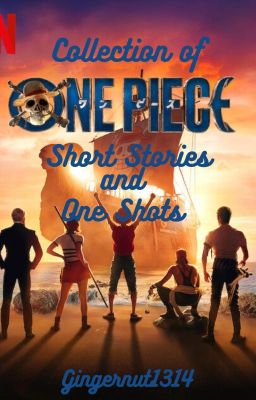 Collection of One Piece Short Stories and One Shots