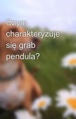 Read Stories Czym charakteryzuje się grab pendula? - TeenFic.Net