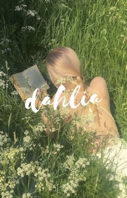 dahlia