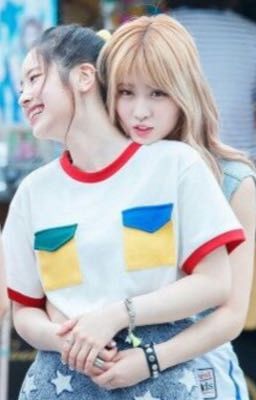 dahmo → problems