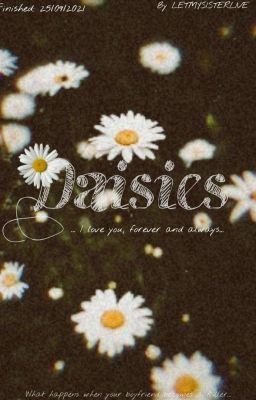 daisies 